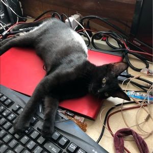 Meet your Posher, Natalie